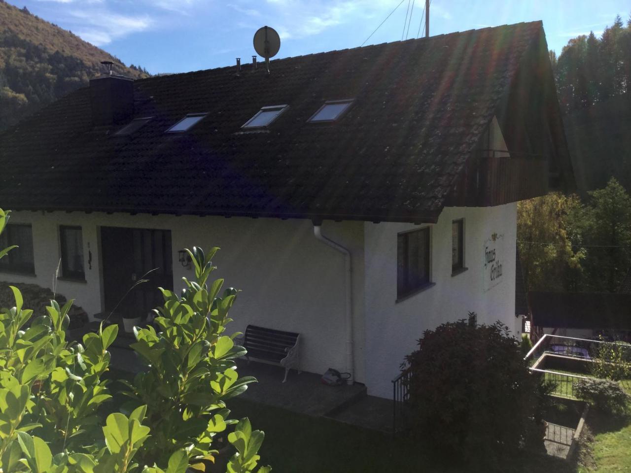 Erikas Haus Apartment Münstertal Екстериор снимка