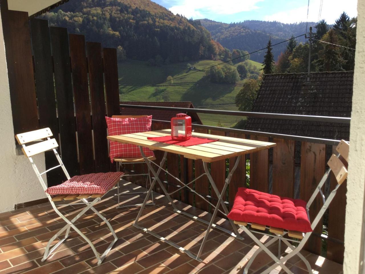 Erikas Haus Apartment Münstertal Екстериор снимка