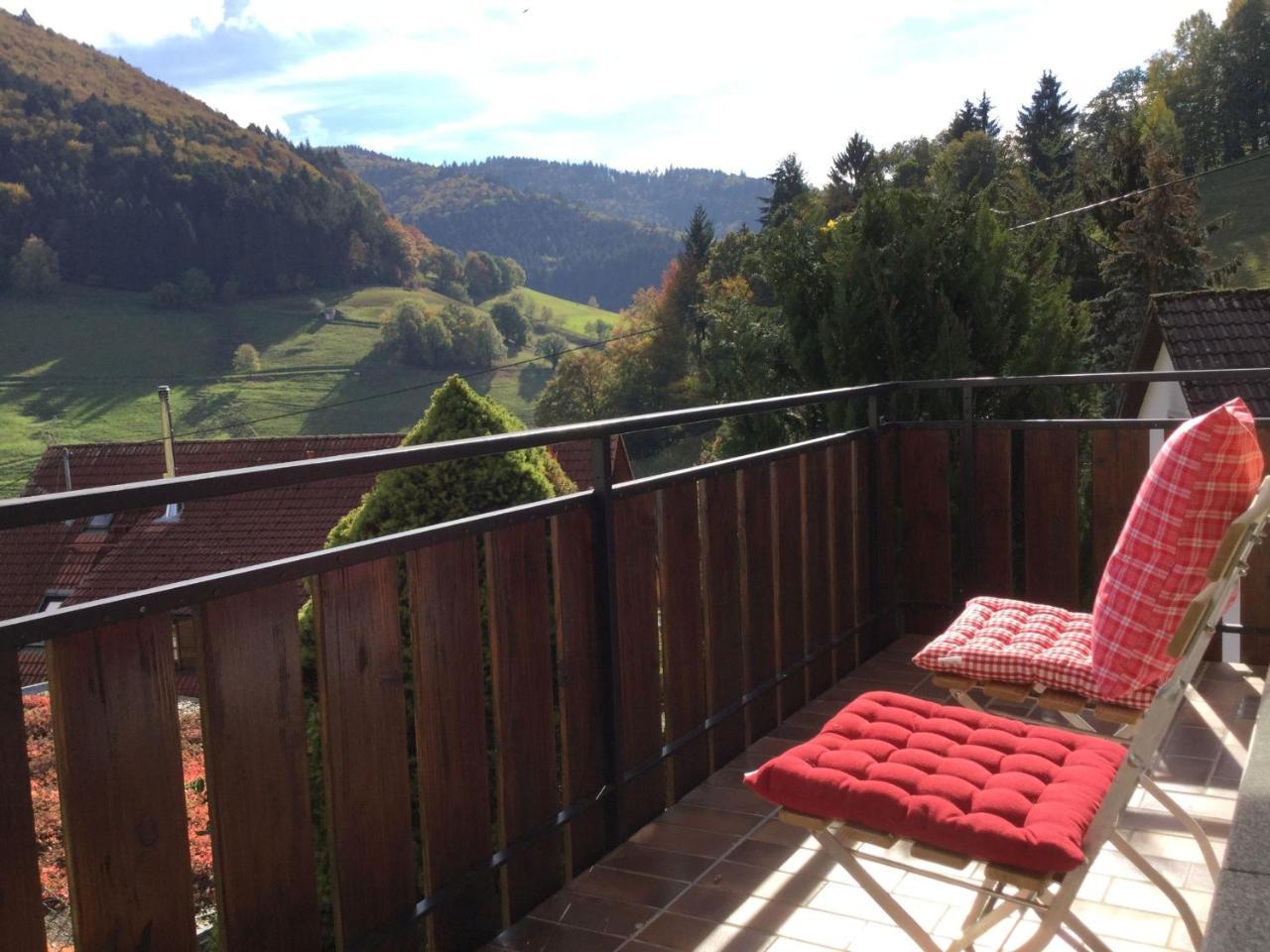 Erikas Haus Apartment Münstertal Екстериор снимка