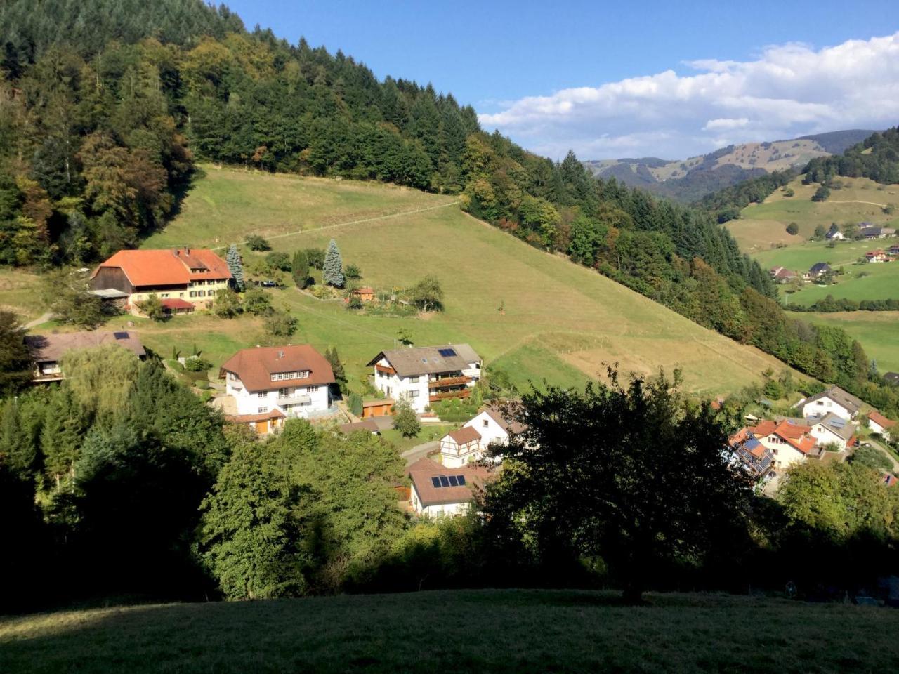 Erikas Haus Apartment Münstertal Екстериор снимка
