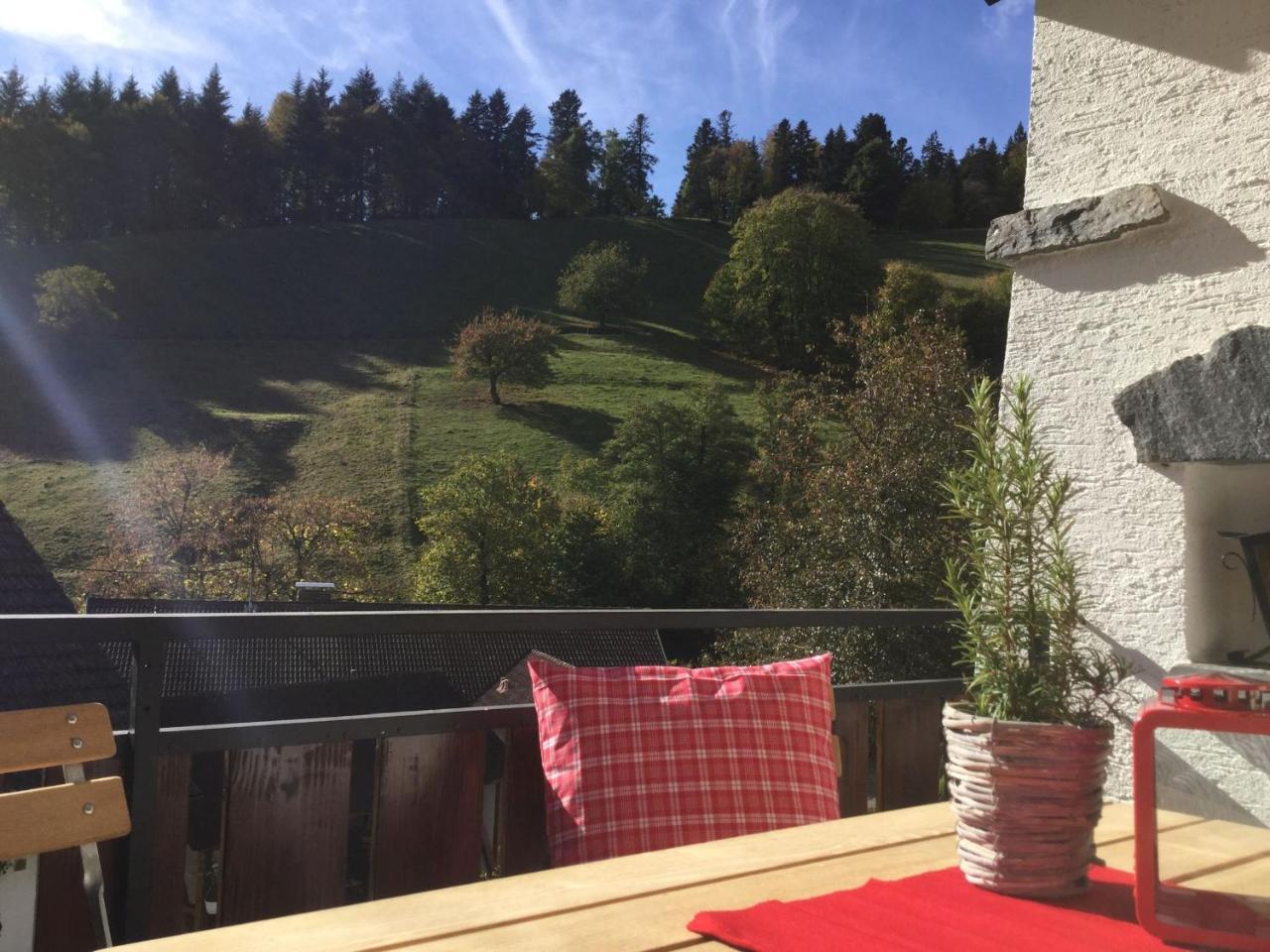 Erikas Haus Apartment Münstertal Екстериор снимка
