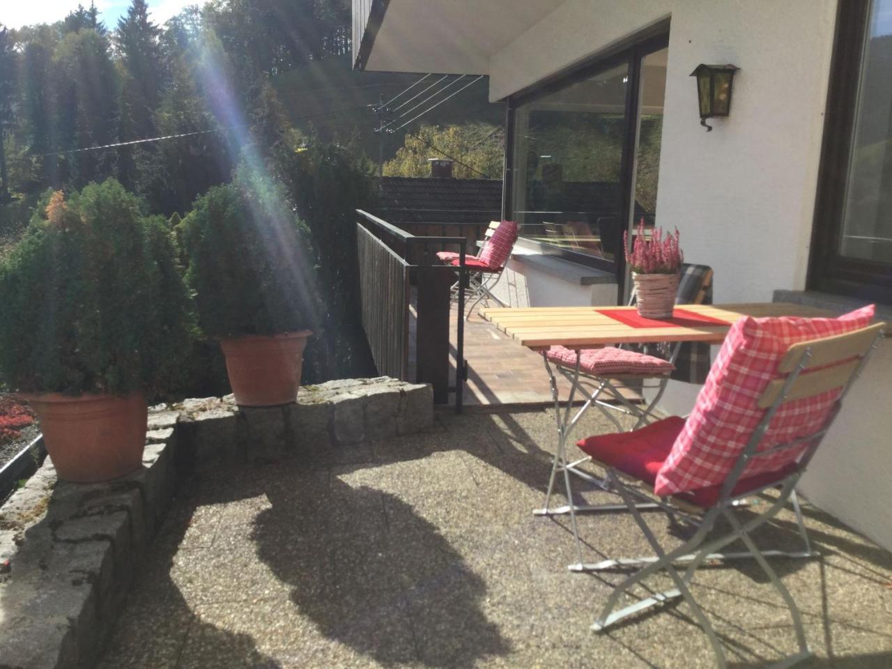 Erikas Haus Apartment Münstertal Екстериор снимка