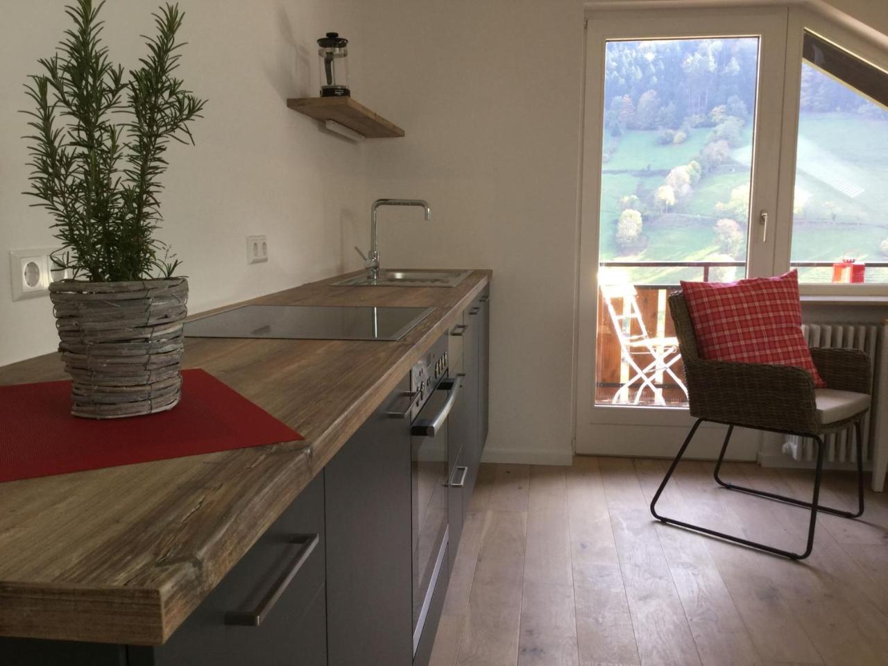 Erikas Haus Apartment Münstertal Екстериор снимка