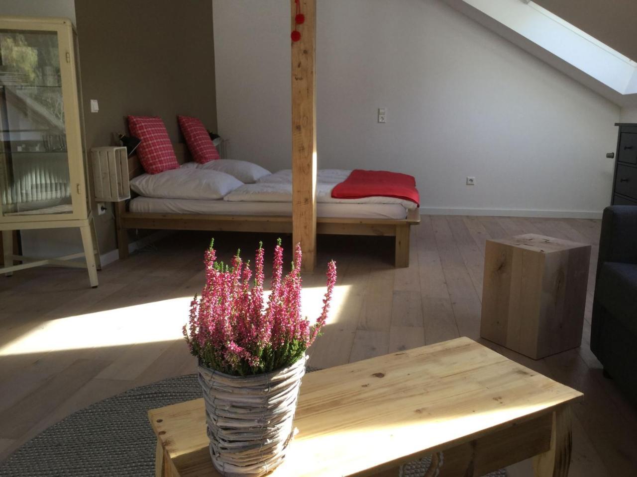 Erikas Haus Apartment Münstertal Екстериор снимка