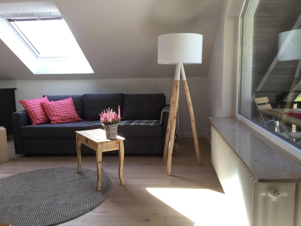 Erikas Haus Apartment Münstertal Екстериор снимка
