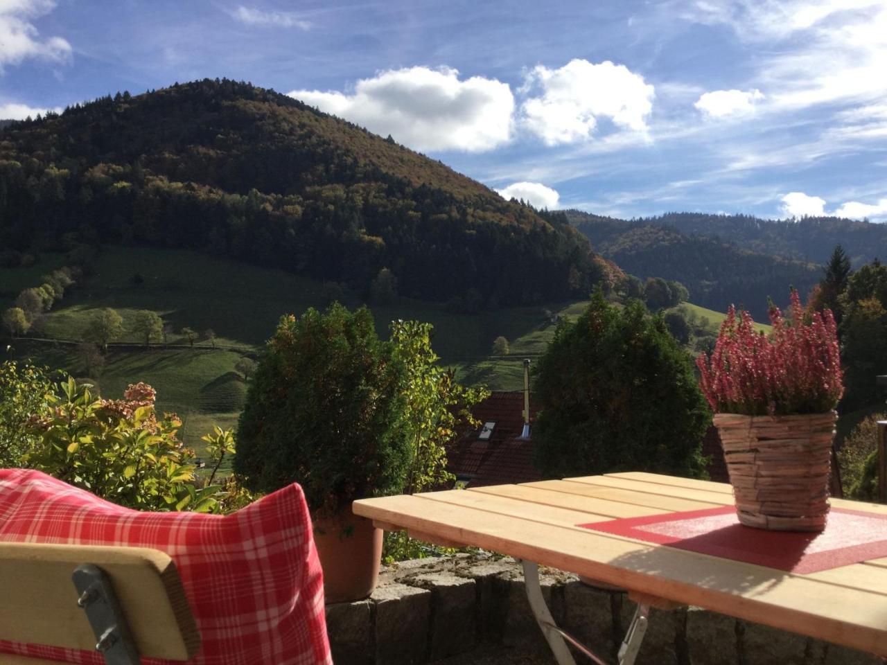 Erikas Haus Apartment Münstertal Екстериор снимка